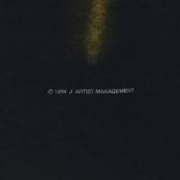 NINE INCH NAILS THE DOWNWARD SPIRAL