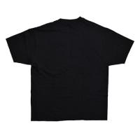 PUFF DADDY THE PALYPEN