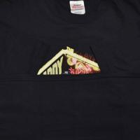 PUFF DADDY THE PALYPEN