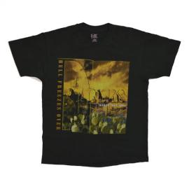 EAGLES HELL FREEZES OVER Tour