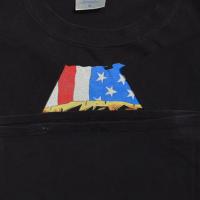 Guns N' Roses Use Your Illusion Tour