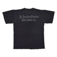 Smashing Pumpkins the  world is a vampire