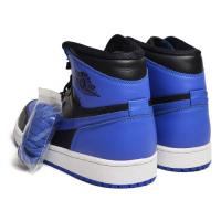 AIR JORDAN 1 RETRO HIGH OG (555088 085)