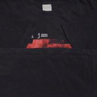 PEARL JAM WINDOW PAIN