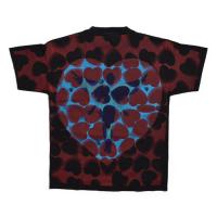 NIRVANA Heart-Shaped Box