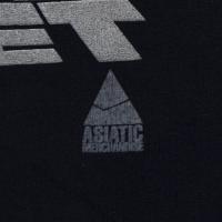 PUBLICK ENEMY FEAR OF A BLACK PLANET