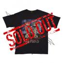 PINK FLOYD THE DIVISION BELL TOUR