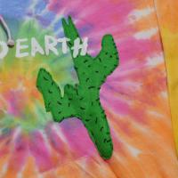 Astroworld x DSM LA Down To Earth Hoodie