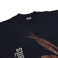 NINE INCH NAILS further down the spiral