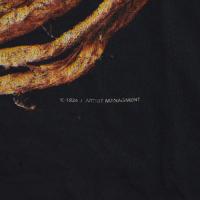 NINE INCH NAILS further down the spiral