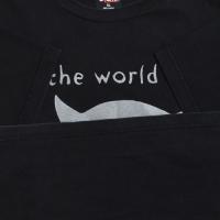 Smashing Pumpkins the  world is a vampire