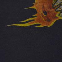 METALLICA Flaming Skull