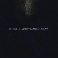 NINE INCH NAILS THE DOWNWARD SPIRAL