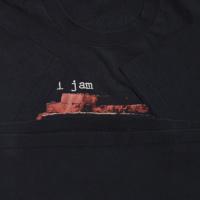 PEARL JAM WINDOW PAIN