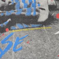 GUNS N' ROSES DEAD HORSE