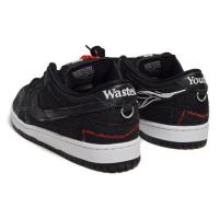 SB DUNK LOW PRO QS (DD8386 001)