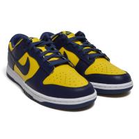 DUNK LOW RETRO (DD1391 700)