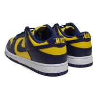 DUNK LOW RETRO (DD1391 700)