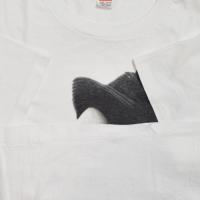 Madonna Blonde Ambition