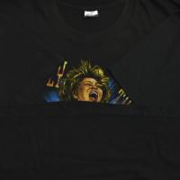 Tina Turner What is Love? Tour 1993