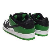 SB DUNK LOW PRO (BQ6817 302)