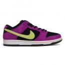 SB DUNK LOW PRO (BQ6817 501)