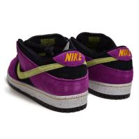 SB DUNK LOW PRO (BQ6817 501)