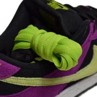 SB DUNK LOW PRO (BQ6817 501)