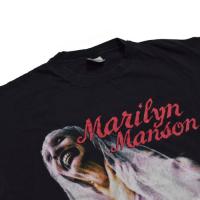 Marilyn Manson  Sweet Dreams are made of this