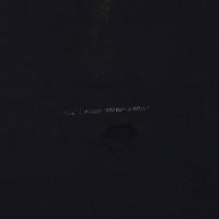 NINE INCH NAILS THE DOWNWARD SPIRAL