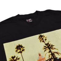 EAGLES Hotel California