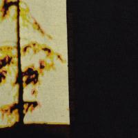 EAGLES Hotel California