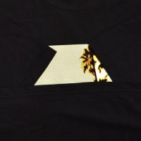 EAGLES Hotel California