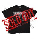 BEASTIE BOYS CHECK YOUR HEAD