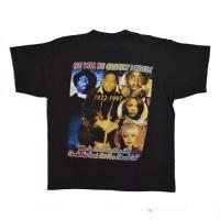 The NOTORIOUS B.I.G  LIFE AFTER DEATH