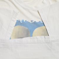 PINK FLOYD NORTH AMERICAN TOUR 1994