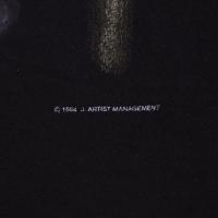 NINE INCH NAILS THE DOWNWARD SPIRAL