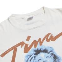 TINA TURNER Simply the Best