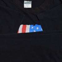 Guns N' Roses USE YOUR ILLUSION TOUR