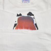 SONIC YOUTH Bomb Pop