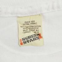 ROD STEWART LOST IN AMERICA