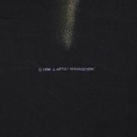 NINE INCH NAILS THE DOWNWARD SPIRAL