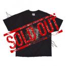 PEARL JAM window pain