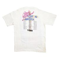 ROD STEWART LOST IN AMERICA