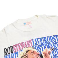 ROD STEWART LOST IN AMERICA