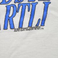 ROD STEWART LOST IN AMERICA