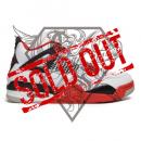 AIR JORDAN 4 RETRO (DC7770 160)