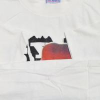 SONIC YOUTH Bomb Pop