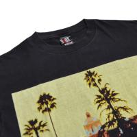 EAGLES Hotel California