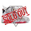 AIR JORDAN 6 RETRO (CT8529 062)